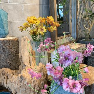 Dedica 兵庫県芦屋市にある花屋 ブライダル装花 アレンジメント写真などをご紹介いたしております